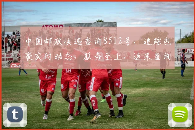 中国邮政快递查询8512号，追踪包裹实时动态，服务至上，速来查询，三步轻松搞定