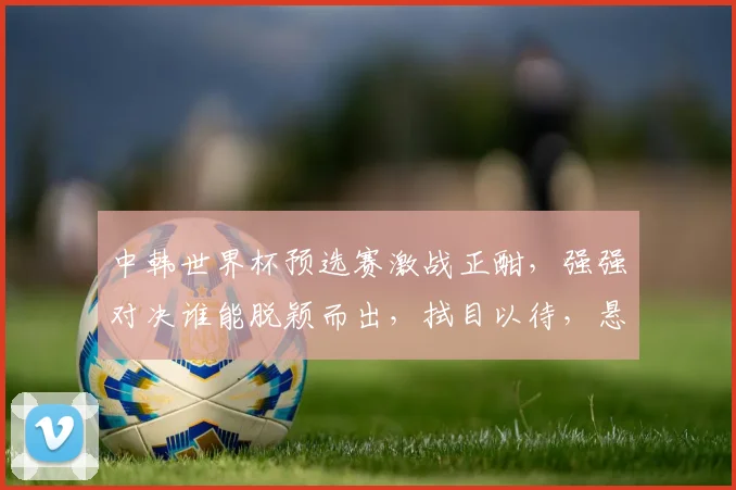 中韩世界杯预选赛激战正酣，强强对决谁能脱颖而出，拭目以待，悬念重重