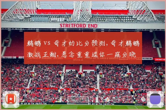 鹈鹕 vs 奇才的比分预测,奇才鹈鹕激战正酣,悬念重重逗你一窥分晓